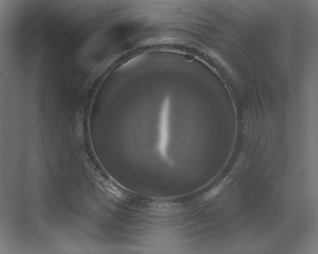 X0000072920921200607211057