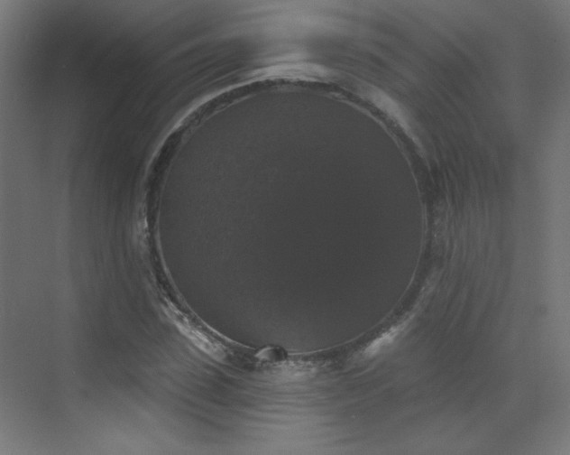 X0000072920923200607211057