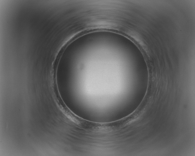 X0000072920933200607211057