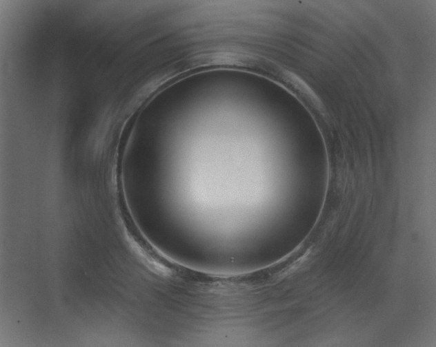 X0000072920938200607211057