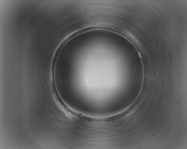 X0000072920940200607211057