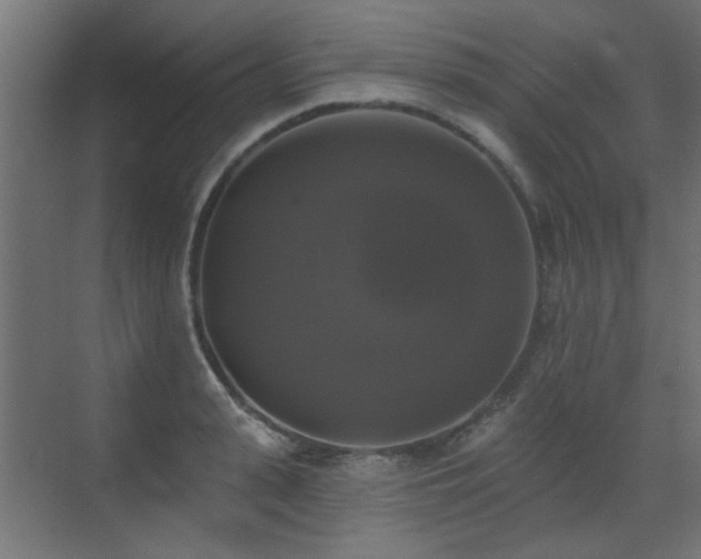 X0000072920943200607211057