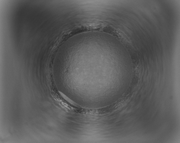 X0000072920961200607211057