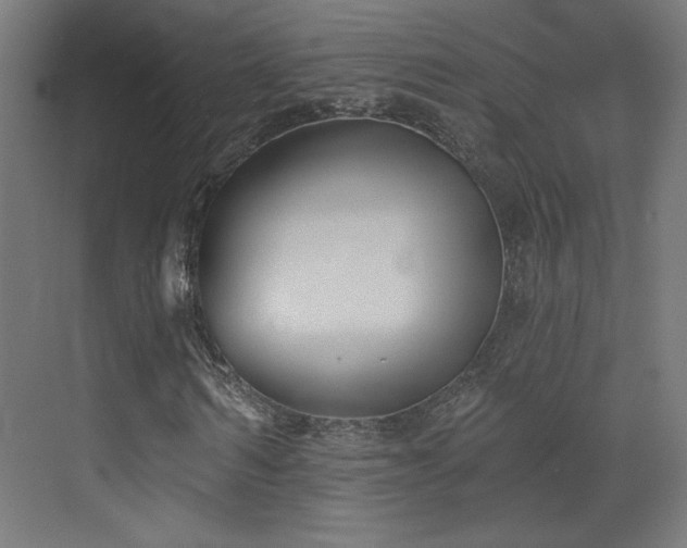 X0000072920962200607211057