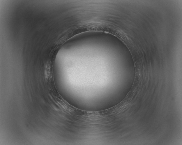 X0000072920964200607211057