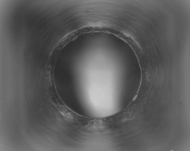 X0000072920968200607211057