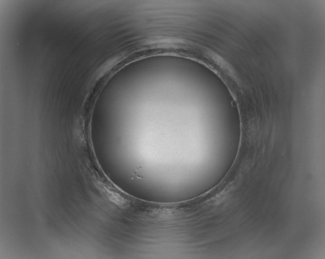 X0000072920970200607211057
