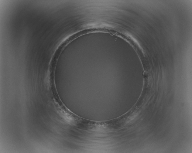 X0000072920975200607211057