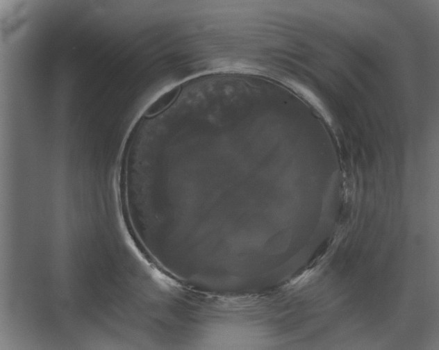 X0000072921007200607211056