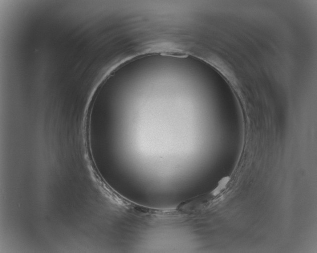 X0000072921008200607211056