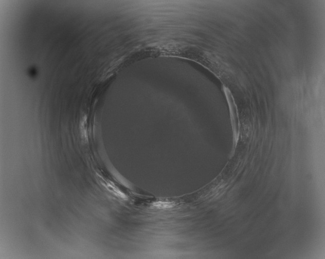 X0000072921010200607211055