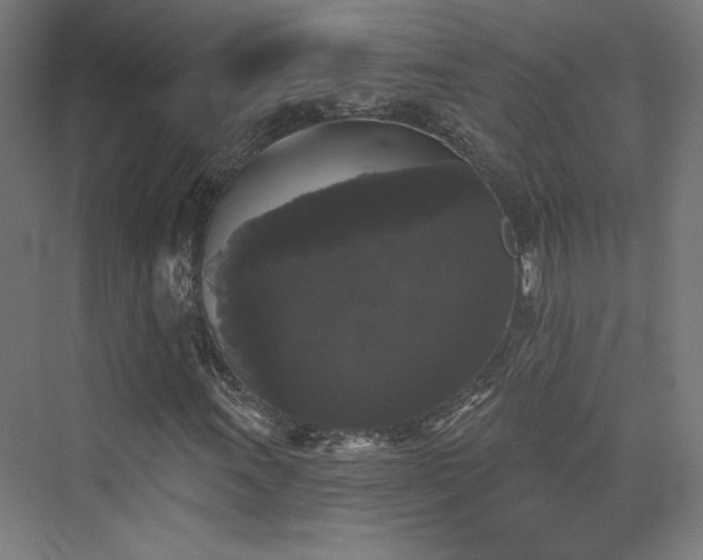 X0000072921011200607211055