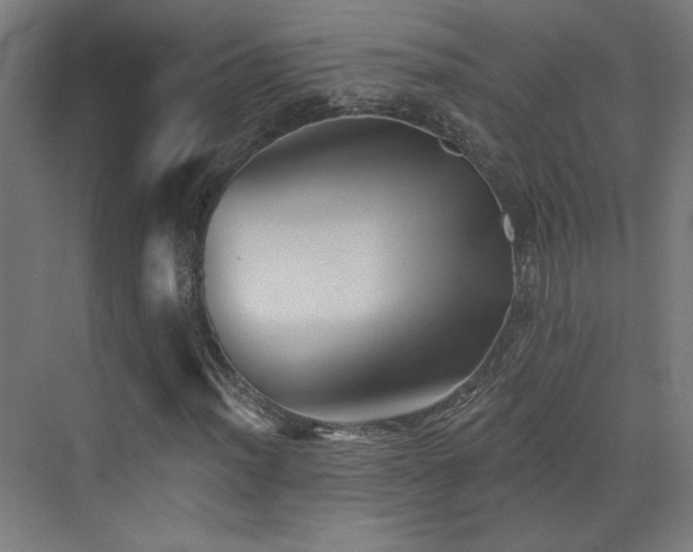 X0000072921012200607211055