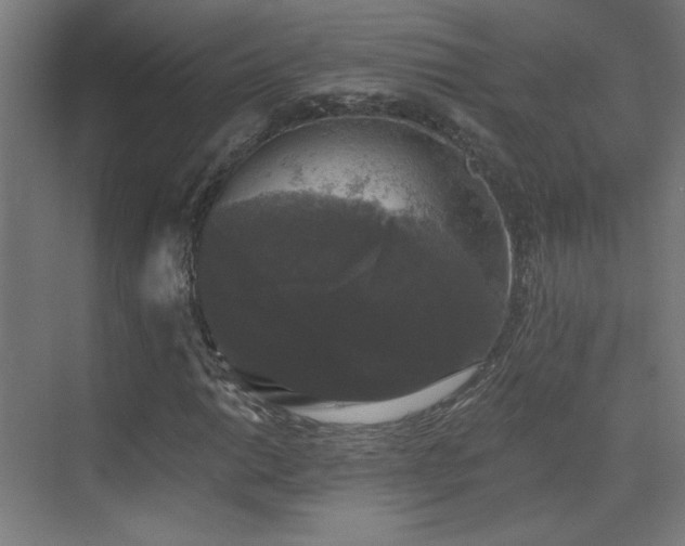 X0000072921014200607211055