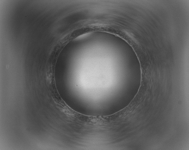 X0000072921015200607211055