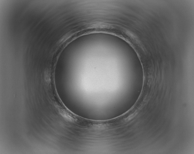 X0000072921017200607211055