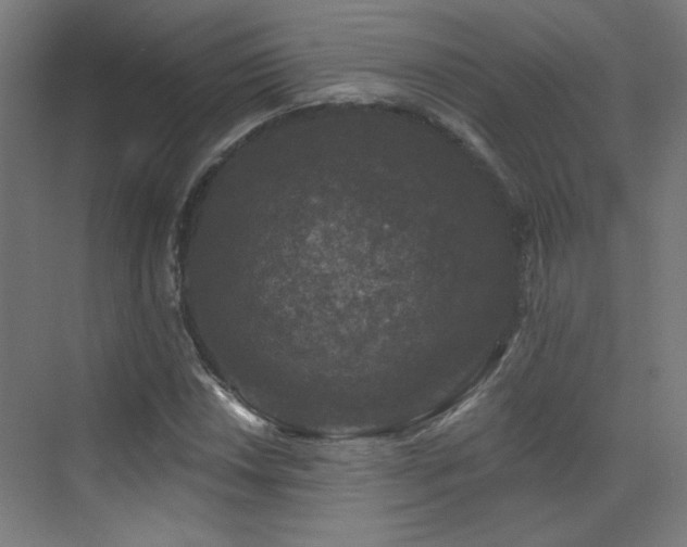 X0000072921018200607211055