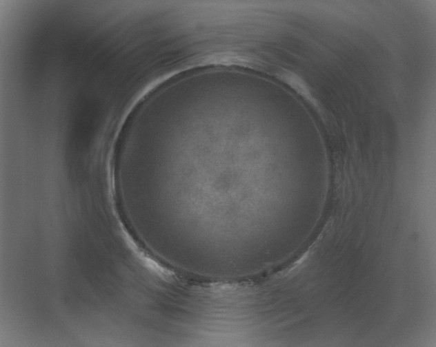 X0000072921032200607211056