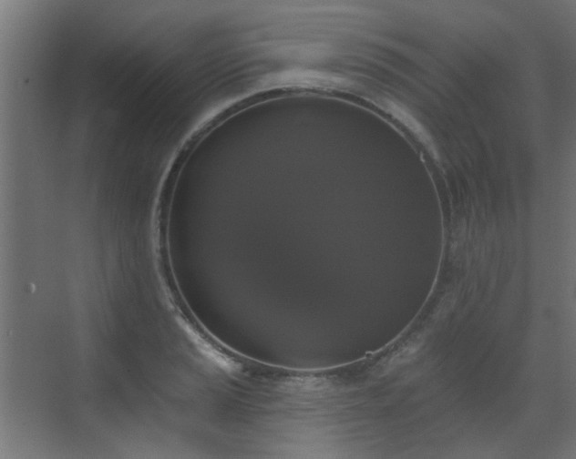 X0000072921037200607211056