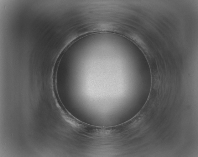 X0000072921039200607211056