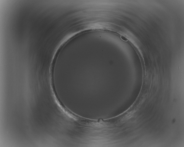 X0000072921045200607211056