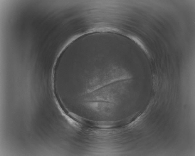 X0000072921046200607211056