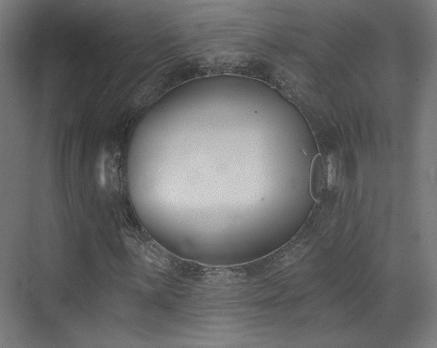 X0000072921059200607211055