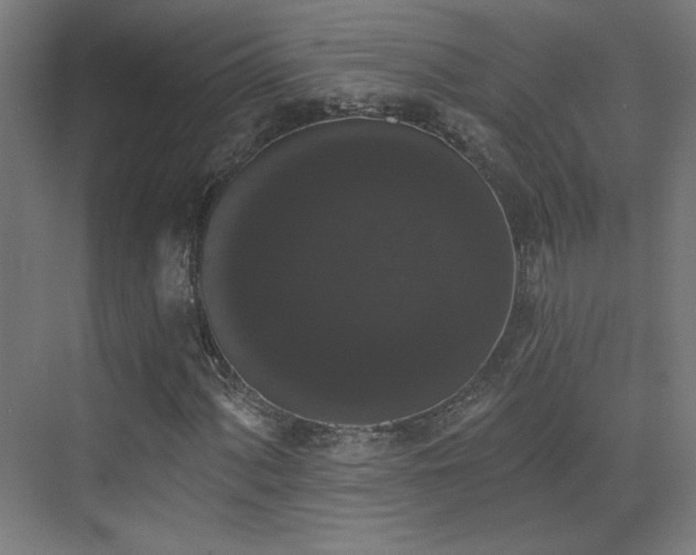 X0000072921060200607211055