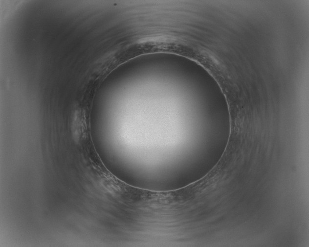 X0000072921062200607211055