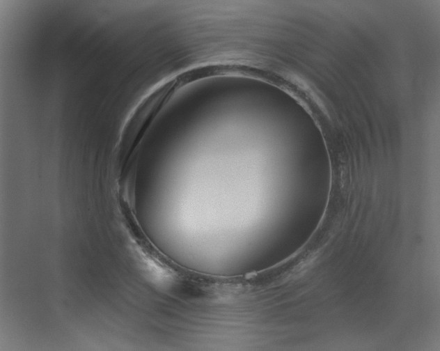 X0000072921069200607211055