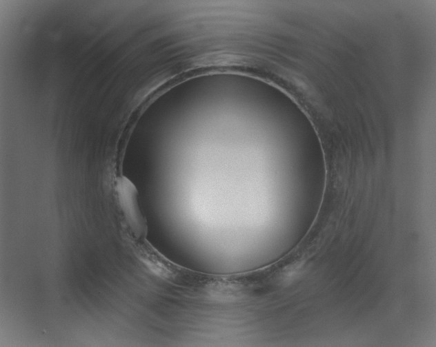 X0000072921073200607211055