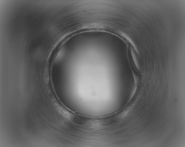 X0000072921075200607211055