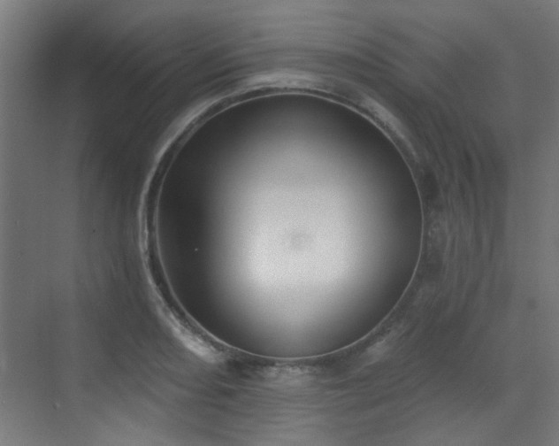 X0000072921082200607211055