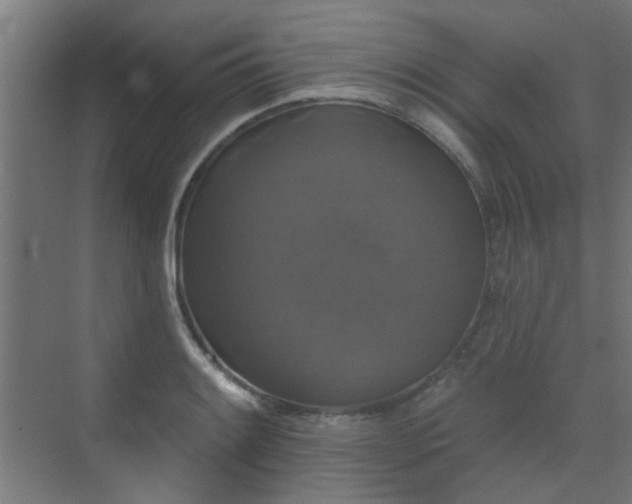 X0000072921084200607211055