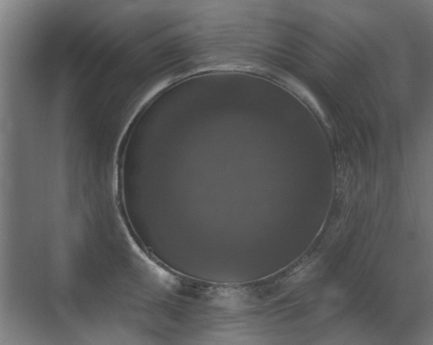 X0000072921095200607211054