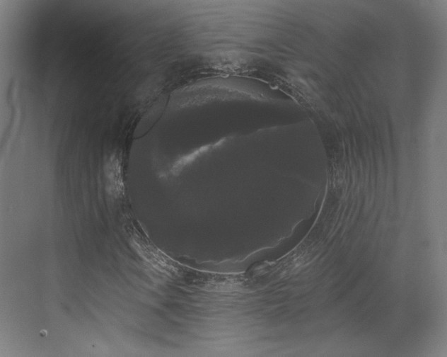 X0000072921106200607211054
