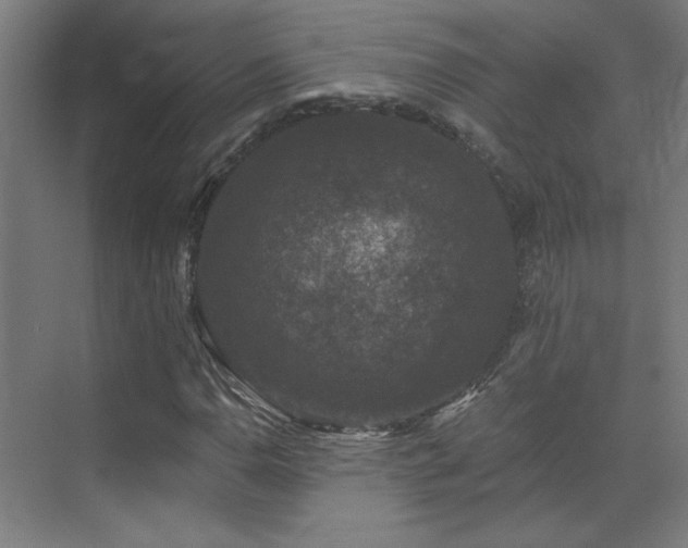 X0000072921110200607211054