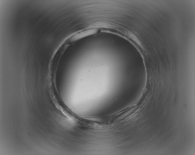 X0000072921116200607211054