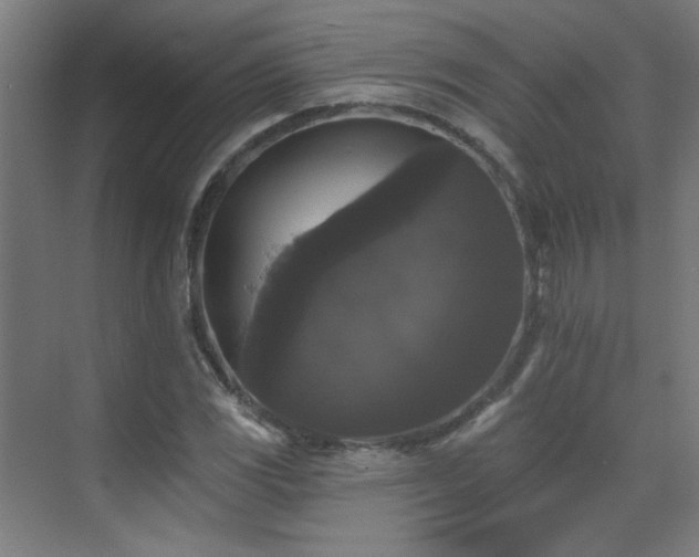 X0000072921117200607211054