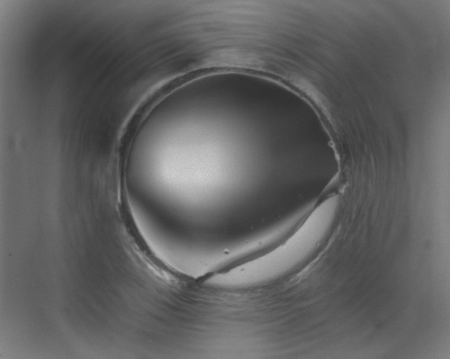 X0000072921123200607211054