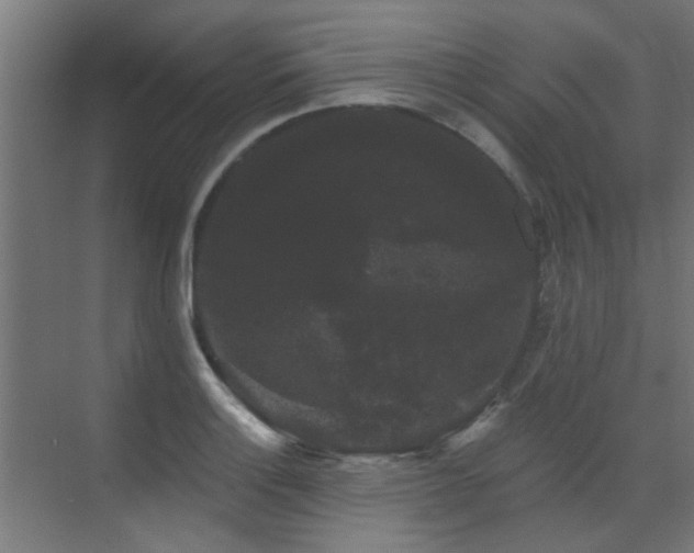 X0000072921132200607211054