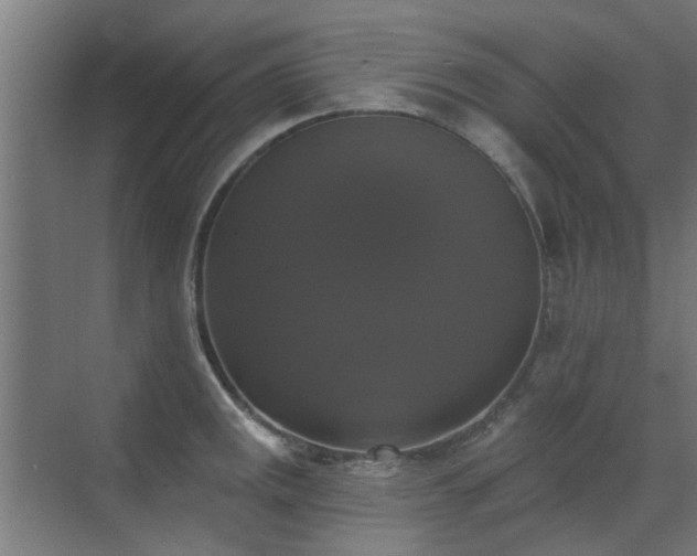 X0000072921141200607211054