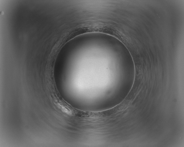 X0000072921153200607211053