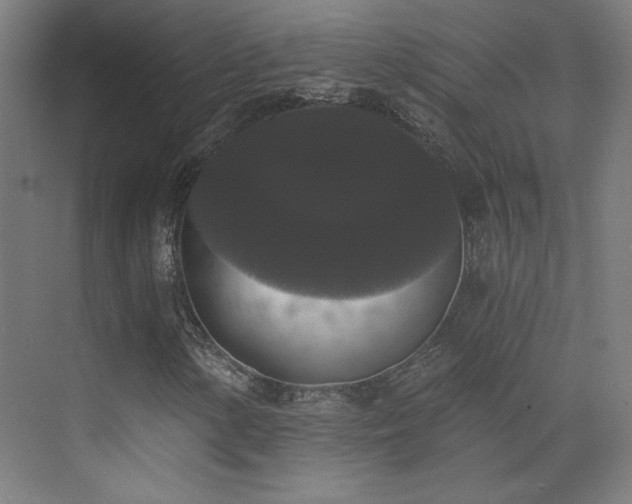 X0000072921154200607211053