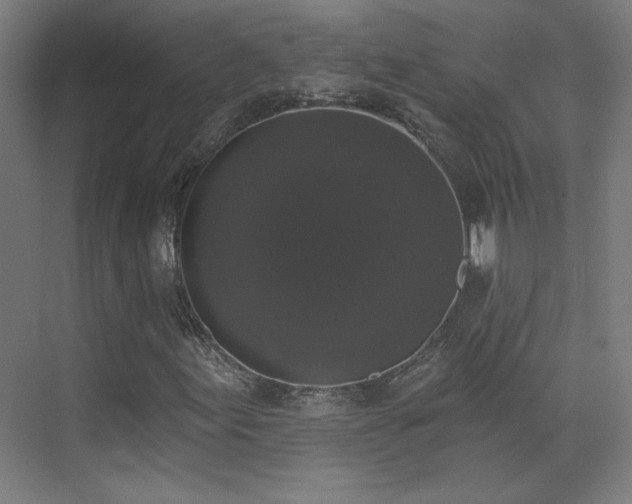 X0000072921155200607211053