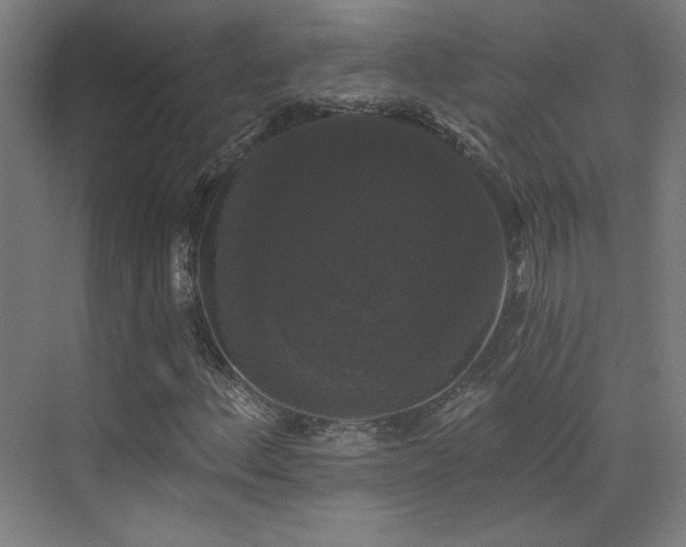 X0000072921156200607211053