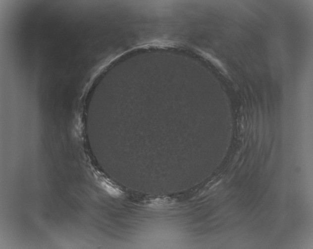 X0000072921160200607211053