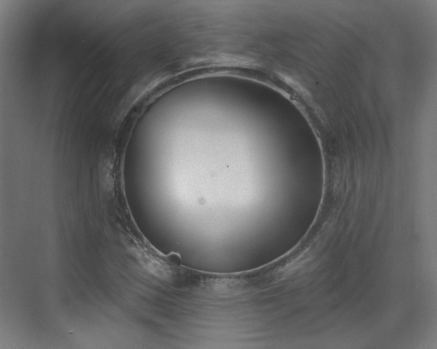 X0000072921163200607211053