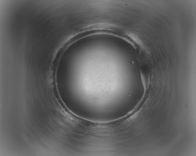 X0000072921164200607211053