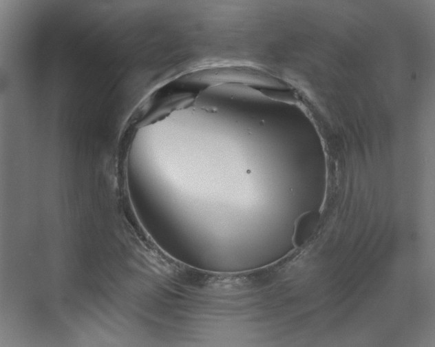 X0000072921165200607211053